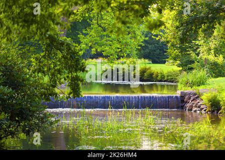 Bad Muskau - Muskau Park - Fluss, Wasserfall, kleiner Wasserfall, Quelle, grün Stockfoto