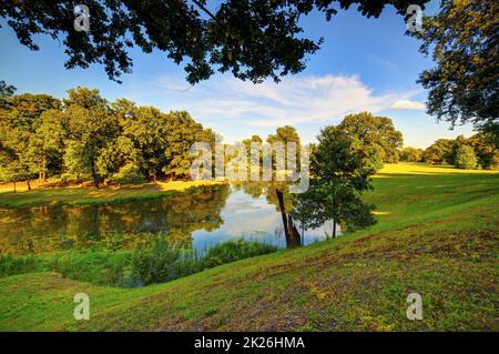 Bad Muskau - Muskau Park, See, Teich, Felder und Bäume Stockfoto