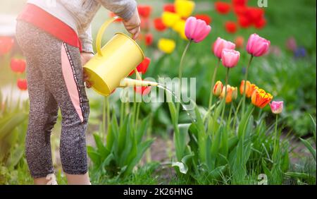 Im Frühling werden im Garten Blumen von Kindern gegossen Stockfoto