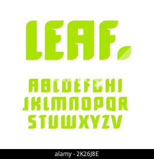Grüne Buchstaben gesetzt. Vektor lateinischen Alphabet. Natürliches Produkt Font. Blatt ABC, Natur Monogramm und Plakat Vorlage. Typografie Design. Stockfoto