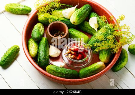 Frische Gurken und Zutaten zum Kochen eingelegter Gurken Stockfoto