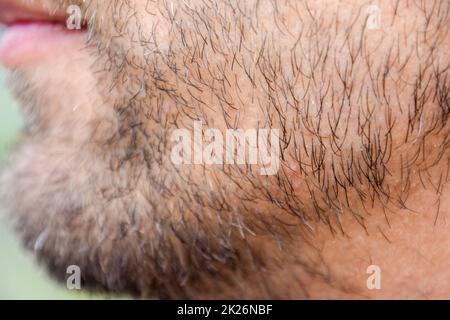 Ein Mann mit Bart. Bart im Gesicht eines jungen Mannes. Stockfoto