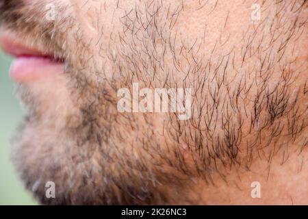 Ein Mann mit Bart. Bart im Gesicht eines jungen Mannes. Stockfoto