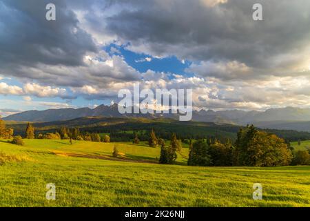 Landschaft bei Jurgow mit hoher Tatra, Polen Stockfoto