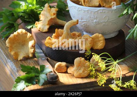 Frische Pfifferlinge in einer Schüssel auf dem dunklen rustikalen Hintergrund. Nahaufnahme Stockfoto