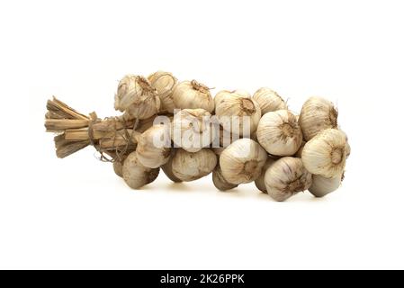 Geflochtene Knoblauchknollen auf weißem Hintergrund isoliert Stockfoto