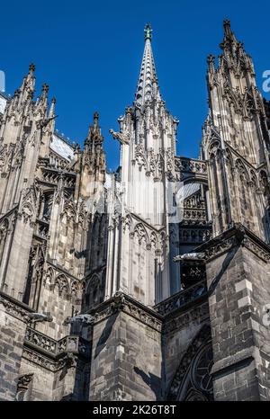 Detail des Kölner Doms (Dom St. Peter) Stockfoto