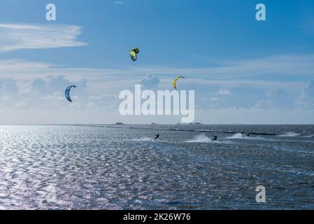 Kitesurfen an der Nordsee bei Lüttmoorsiel, Hallig Nordstrandischmoor am Horizont, Nrth Frisia, Norddeutschland Stockfoto