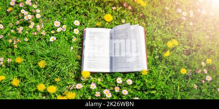 Öffnen Sie das Buch im Gras auf dem Feld an sonnigen Tagen. Stockfoto