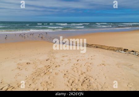 Schöner Strand in Alentejo Stockfoto