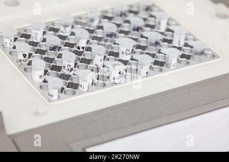 Nahaufnahme von Reagenzgläsern an einem Thermocycler-Block in einem molekularbiologischen Labor. Polymerase-Kettenreaktionstechnik. PCR-Technik Stockfoto