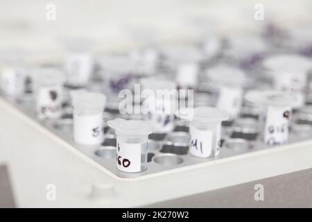 Nahaufnahme von Reagenzgläsern an einem Thermocycler-Block in einem molekularbiologischen Labor. Polymerase-Kettenreaktionstechnik. PCR-Technik Stockfoto