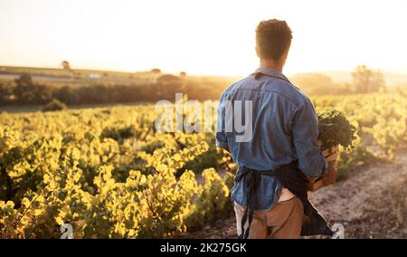 Die Bauern sind das Rückgrat jeder Zivilisation. Ausgeschnittene Aufnahme eines jungen Mannes, der auf einem Bauernhof arbeitet. Stockfoto