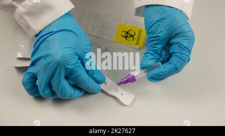 Antigenabstrich, Covid 19-Virusdetektor, mit Reagenzglas, flüssig, negatives Ergebnis, durchgeführt von den Händen eines Arztes mit blauen Handschuhen. Stockfoto