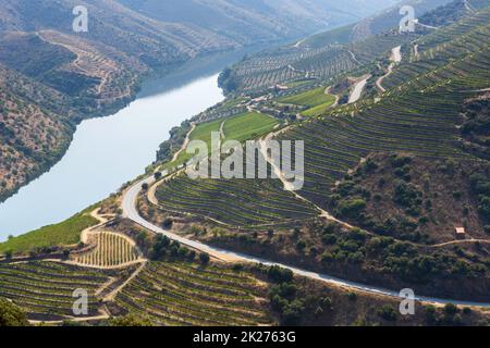 Foz Coa. Douro Stockfoto