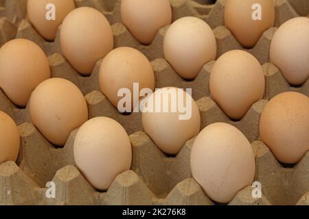 Braune Hühnereier in einem Karton verschließen Stockfoto