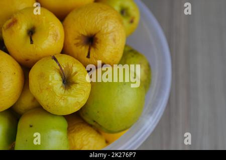 Verrottende gelbe Äpfel, geschrumpfte Äpfel, die schon lange in einer Schüssel standen Stockfoto