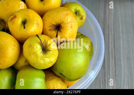 Verrottende gelbe Äpfel, geschrumpfte Äpfel, die schon lange in einer Schüssel standen Stockfoto