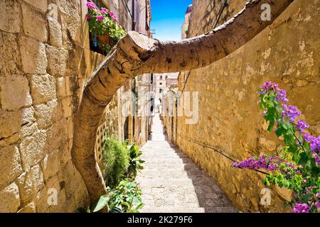 Dubrovnik steiler, schmaler, farbenfroher Blick auf die Straße, Touristenziel Stockfoto