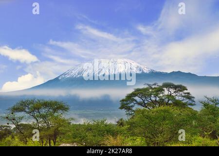 Bilder vom schneebedeckten Kilimandscharo in Kenia Stockfoto