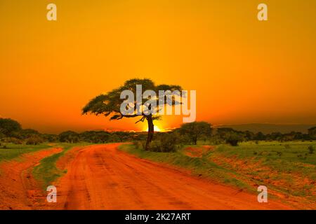 Sonnenuntergang und Sonnenaufgang im Tsavo East und Tsavo West National Park in Kenia Stockfoto