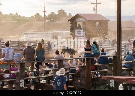 Zuschauer, die auf Holzbänken sitzen, beobachten das Bullenreiten beim Rodeo in Fruita Colorado Stockfoto