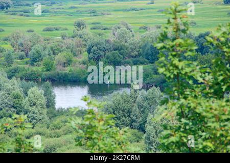 Landschaft mit Fluss im Sommer. Bäume spiegeln sich im Wasser des Flusses wider Stockfoto