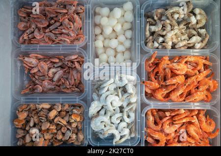 Gefrorene Meeresfrüchte im Kühlschrank auf dem Fischmarkt. Stockfoto