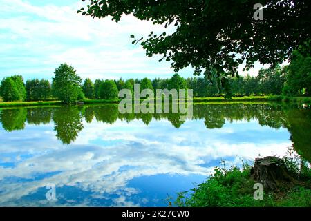 Landschaft mit Fluss im Sommer. Bäume spiegeln sich im Wasser des Flusses wider Stockfoto