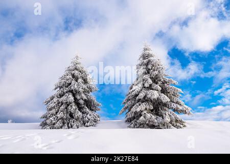 Winterlandschaft im Thüringer Wald bei Schmiedefeld am Rennsteig Stockfoto