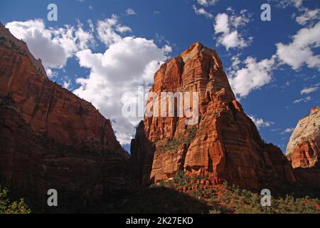 Der rote Felsengipfel von Angels Landing im Zion-Nationalpark Stockfoto