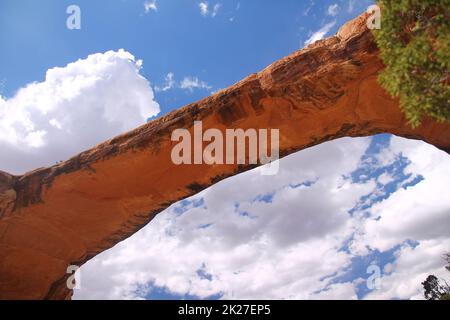 Nahaufnahme einer roten Felsbrücke im Natural Bridges National Monument Stockfoto