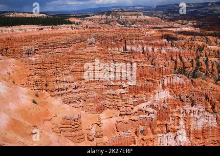 Das spektakuläre Hoodoos-Feld im Queen Garden im Bryce Canyon-Nationalpark Stockfoto