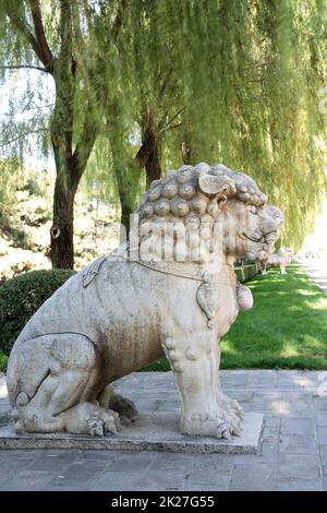 Löwenstatue auf der Ming-Grabgasse in Peking Stockfoto