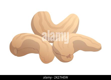 Realistisch geröstete Cashewnüsse auf weißem Hintergrund - Vektor Stockfoto