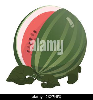 Realistische, frische, große Wassermelone, isoliert auf weißem Hintergrund - Vektor Stockfoto