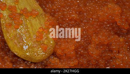 Roter Kaviar von wildem chinook-Lachs (Lateinisch. Oncorhynchus tschawytscha) Stockfoto