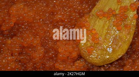 Roter Kaviar von wildem chinook-Lachs (Lateinisch. Oncorhynchus tschawytscha) Stockfoto