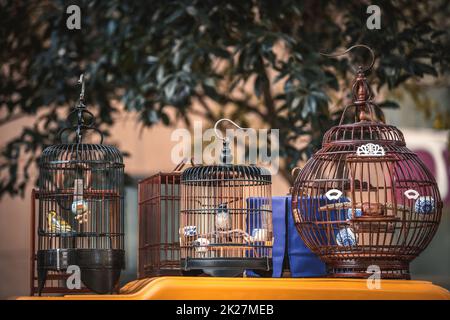 Vögel in Käfigen hängen auf dem Straßenmarkt in Hangzhou Stockfoto