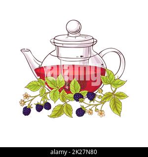 blackberry-Tee-Illustration Stockfoto