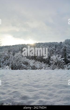 Früh morgens Sonne über dem Wald mit Schnee Stockfoto