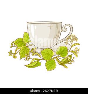 linden-Tee-Illustration Stockfoto
