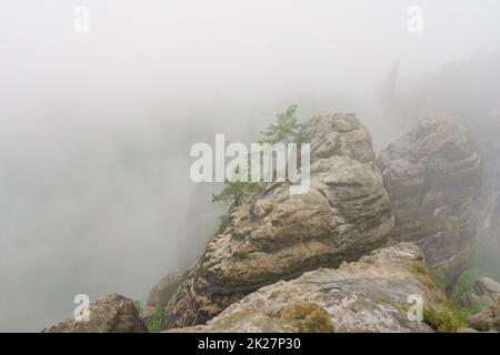 Ein früher bewölkter Morgen in den Bergen. Schrammsteine - eine Gruppe von Felsen ist eine lange, weit gestreckte, sehr zerklüftete Gruppe in den Elbsandsteinbergen in der sächsischen Schweiz in der DDR. Stockfoto