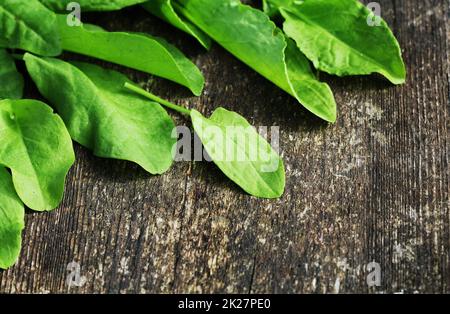 Frische organische Sauerampfer verlässt ion Holztisch Stockfoto