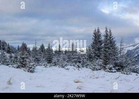 Winterlandschaft - Rax Berg in den österreichischen Alpen, Niederösterreich Stockfoto