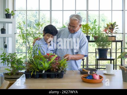 Der Großvater im Ruhestand verbrachte die Ferien mit seinem Enkel, der sich um den Innengarten kümmerte. Stockfoto