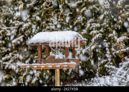 Vogelfütterung im gefrorenen, verschneiten Wintergarten Stockfoto