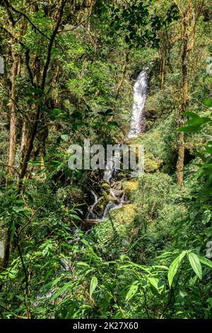 Wasserfall am wilden Gebirgsfluss. San Gerardo de Dota, Costa Rica. Stockfoto