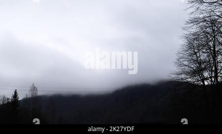 Herbstregen und Nebel auf den Bergen. Nebeliger Herbstwald bedeckt mit niedrigen Wolken. Ukraine. Fichtenwälder auf den Hügeln der Berge, die durch den Morgennebel über Herbstlandschaften hindurchziehen. Stockfoto