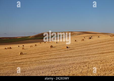 Spanisch-spanisch gemähtes Feld von Spanien mit Stroh in Ballen gesammelt Stockfoto